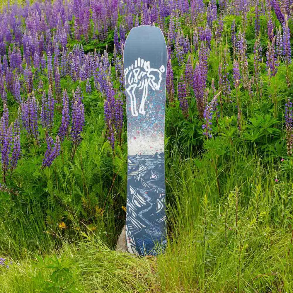 Arbor Annex Snowboard - Image 10
